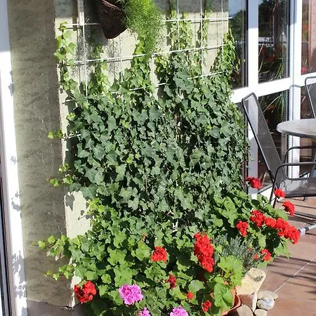 Zlata Noha Hotel