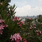 Zlata Noha 3*